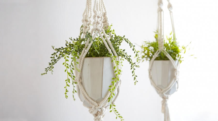 Ecofriendly Accessories